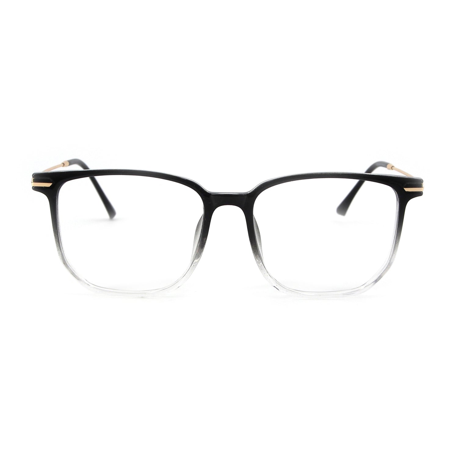 Chester in Patagonian Mist