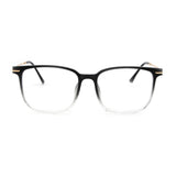 Chester in Patagonian Mist