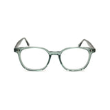 Fabrice in Forest Fern