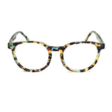 Hernan in Cerulean Tortoise