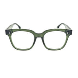 Vermont in Pine Forest